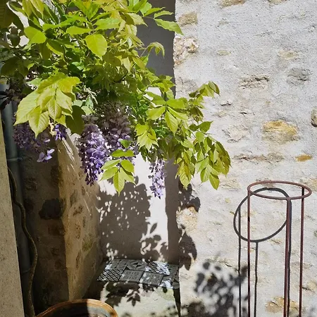 Les Glycines Charmante Maison De Avec Cour شقة