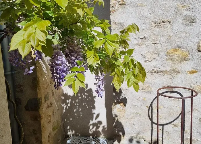 Charmante Maison Ancienne Avec Cour 아파트